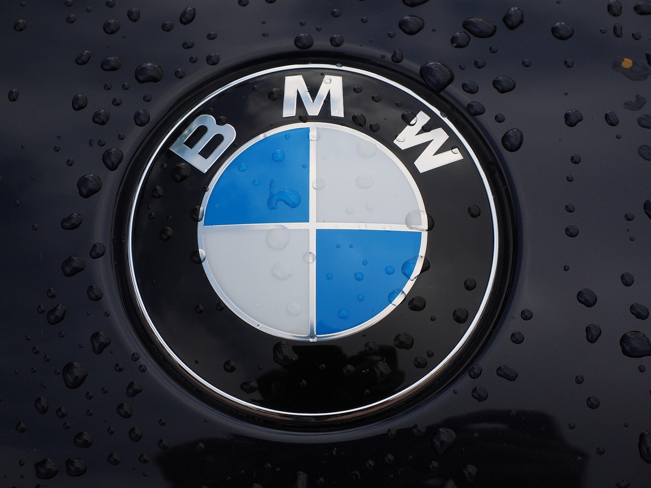 Bmw, logo, car brand — Roulette Bonus Canada with Debit Card: A Comprehensive Guide